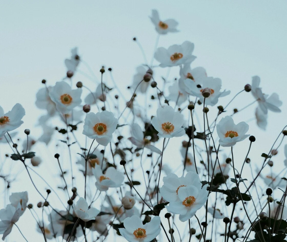 Καιρός: «Το κρύο κλείδωσε», λέει ο Γιώργος Τσατραφύλλιας