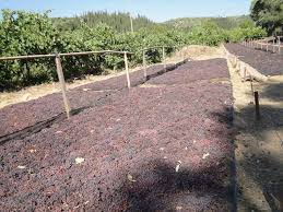 «Καμπανάκι» για τη… μαυρομάτα