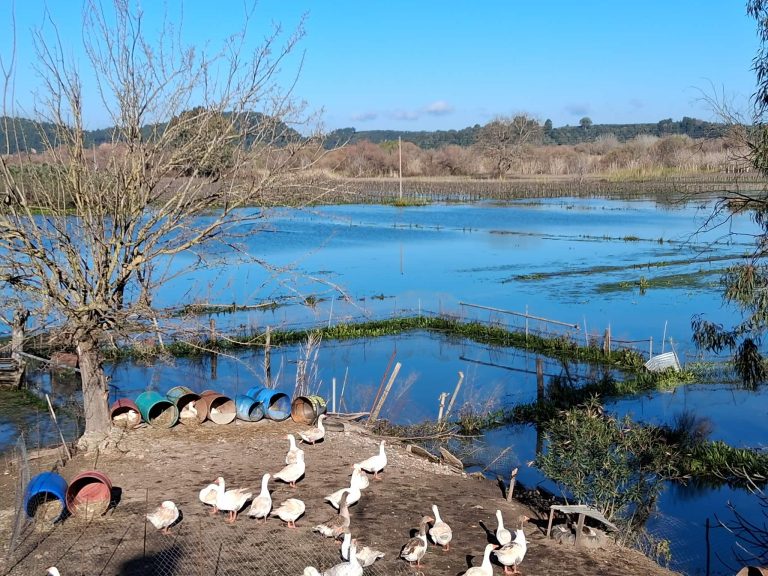 Εντός διμήνου οι εκτιμήσεις από τις ζημιές