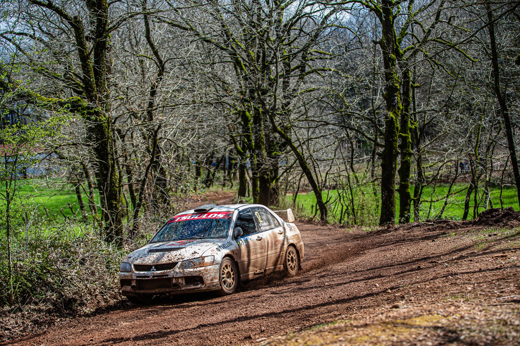 Επιμελητήριο Ηλείας: Ισχυρός μοχλός εξωστρέφειας το 46ο  Ολυμπιακό Ράλλυ