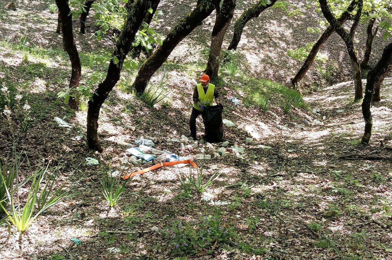 Στην υπηρεσία του περιβάλλοντος ο Δήμος Ήλιδας – Καθαρισμός του Δρυοδάσους της Κάπελης ενόψει Πρωτομαγιάς