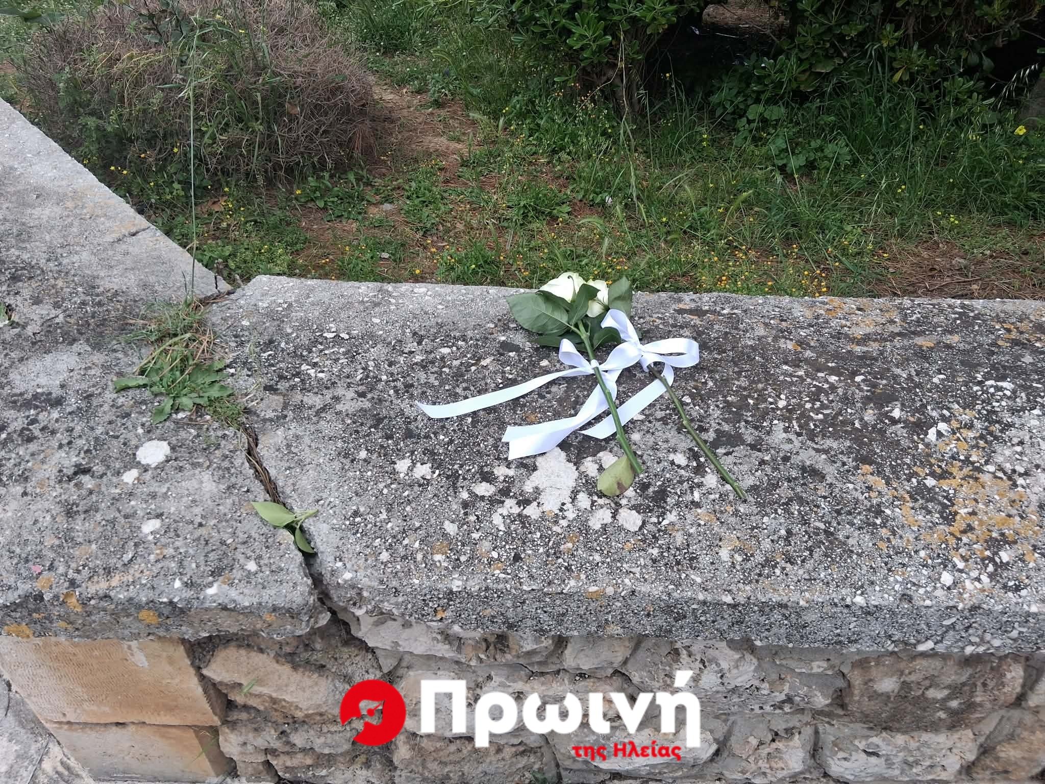 Απολογούνται την Παρασκευή οι τρεις κατηγορούμενοι για τον θάνατο της 19χρονης στο Αργοστόλι (video)