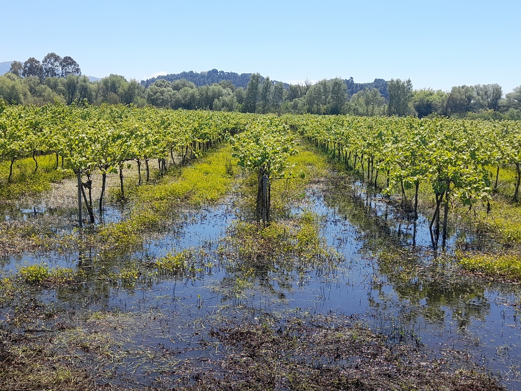 Εκτεταμένες καταστροφές από τις πλημμύρες στον κάμπο Μακρισίων