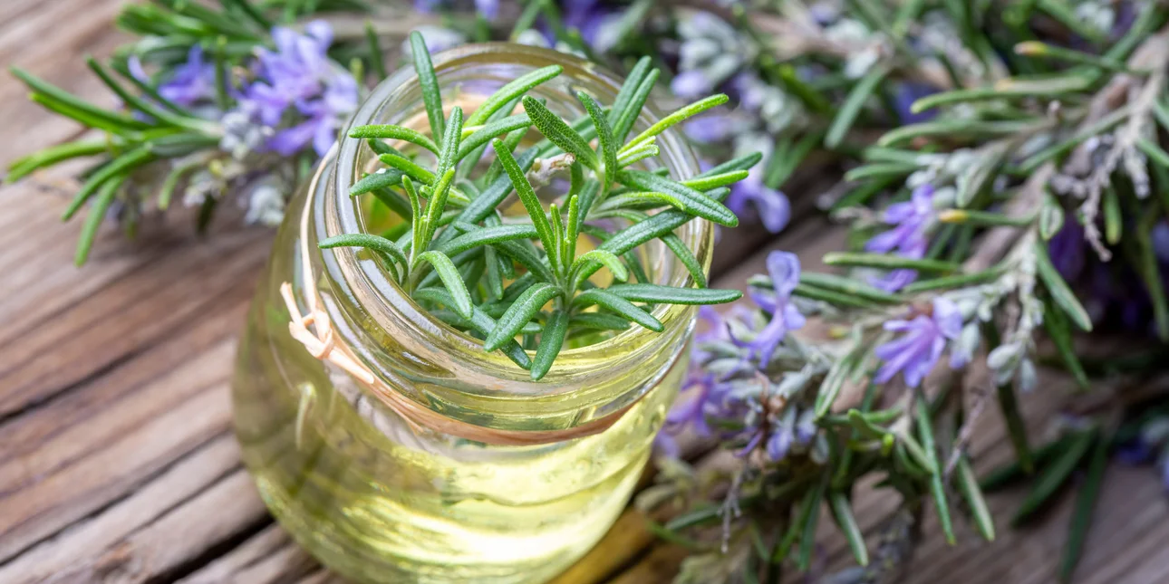 Γιατί συνιστούν να βάζετε ένα βάζο με δεντρολίβανο στο υπνοδωμάτιο και σε τι χρησιμεύει