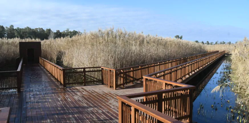 Πάτρα: Προχωρά το ανοικτό θέατρο 653 θέσεων και το πάρκινγκ στο πρώην κάμπινγκ στο Έλος της Αγυιάς