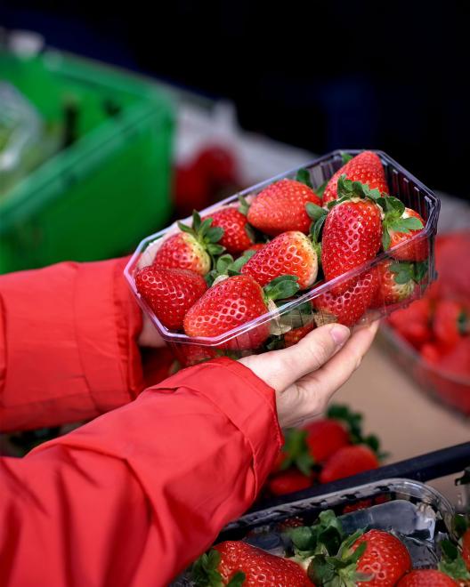 Φράουλες: Τι να προσέξεις όταν τις αγοράζεις
