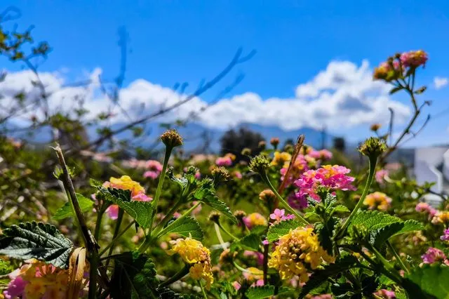 Με τι καιρό θα κάνουμε Ανάσταση και Πάσχα – Πού θα έχει ήλιο, πού θα βρέχει