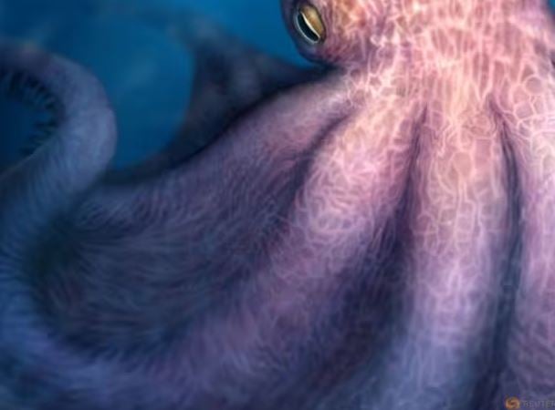 Ανακαλύφθηκε το αληθινό Κράκεν των θαλασσών