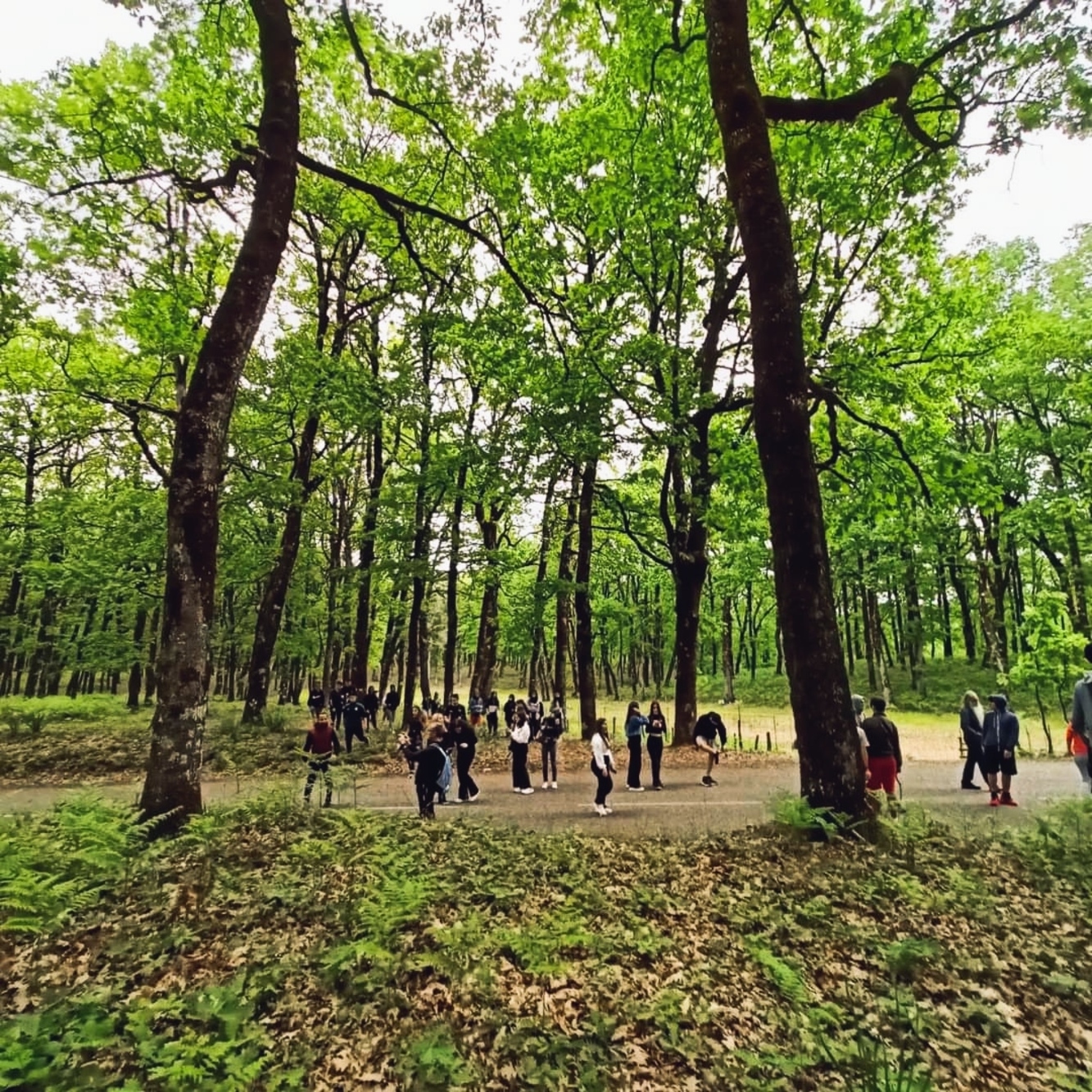 Δίκτυο 16 ορεινών μονοπατιών στην ορεινή Ηλεία