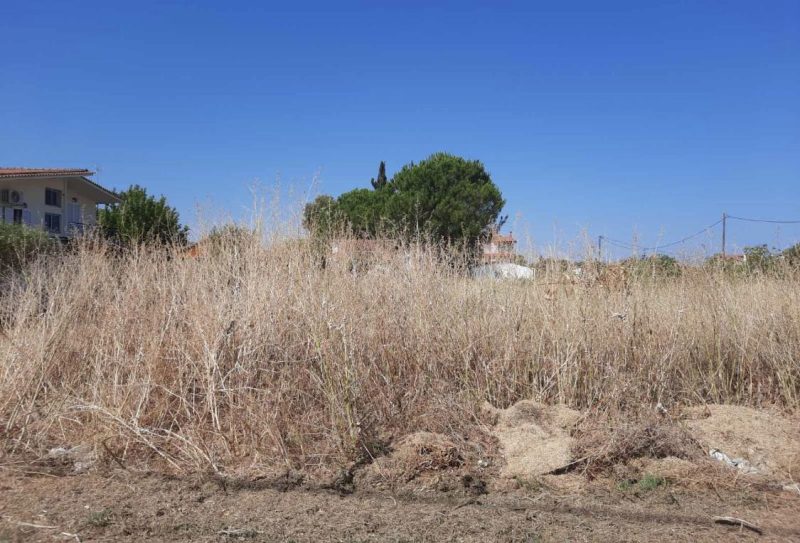 Δήμος Πύργου: Υποχρεωτικός καθαρισμός οικοπεδικών χώρων και υποβολή δηλώσεων για την Αντιπυρική Περίοδο 2026