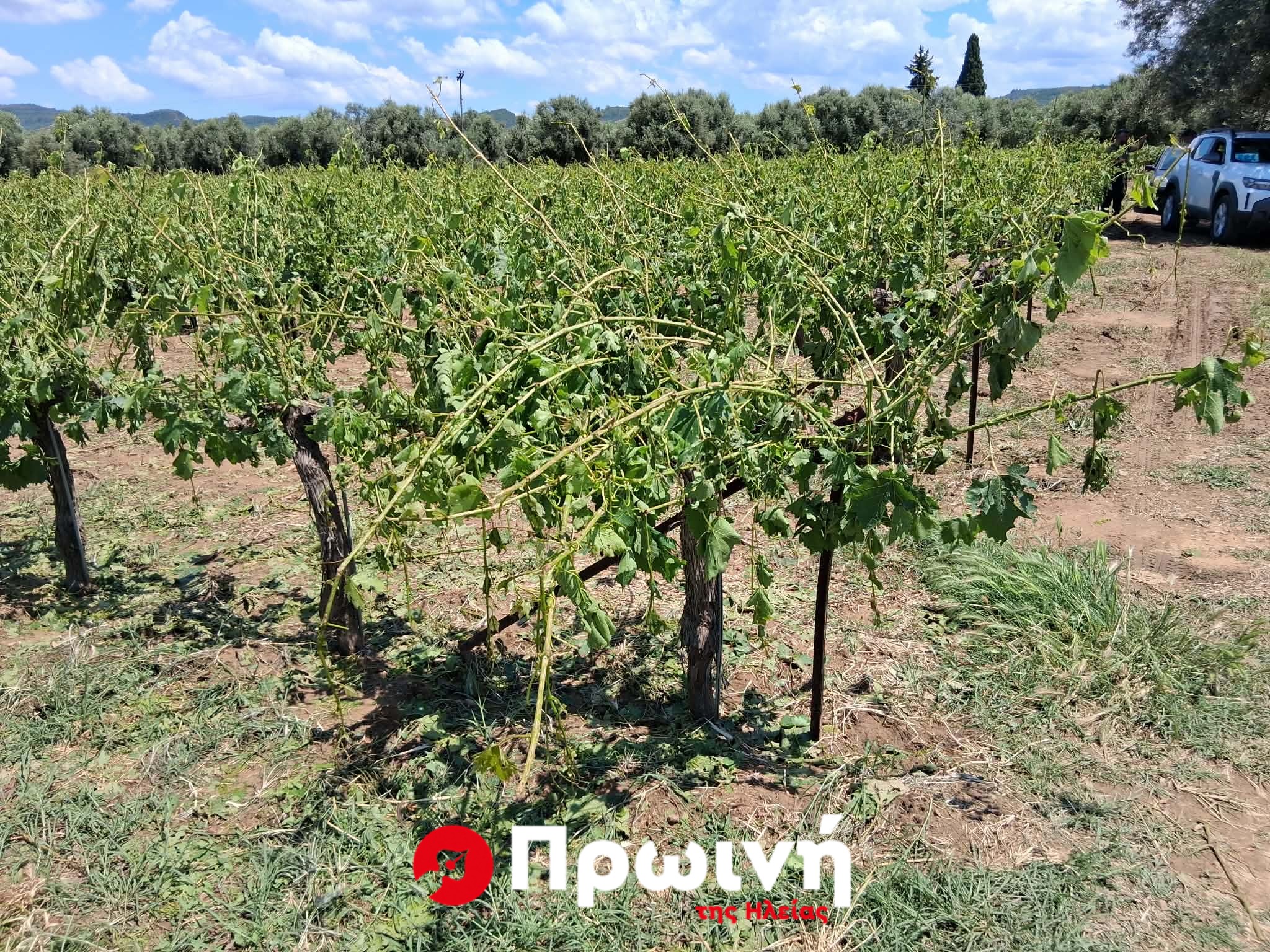 Μεγάλες ζημιές από το χαλάζι στα χωριά του Πύργου