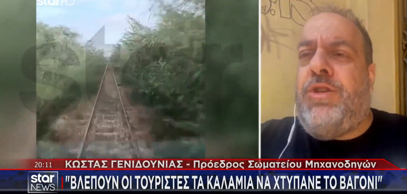 Πύργος: Ακλάδευτα καλάμια «μαστιγώνουν» τα βαγόνια