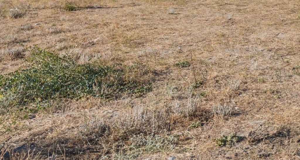 Ακαθάριστα οικόπεδα: Τέλος χρόνου, έρχονται τσουχτερά πρόστιμα