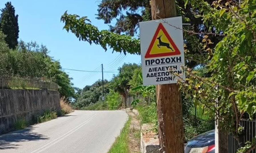 Μπήκαν πινακίδες για τα ελάφια στην Κατακόλου