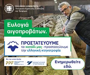 ευλογιά