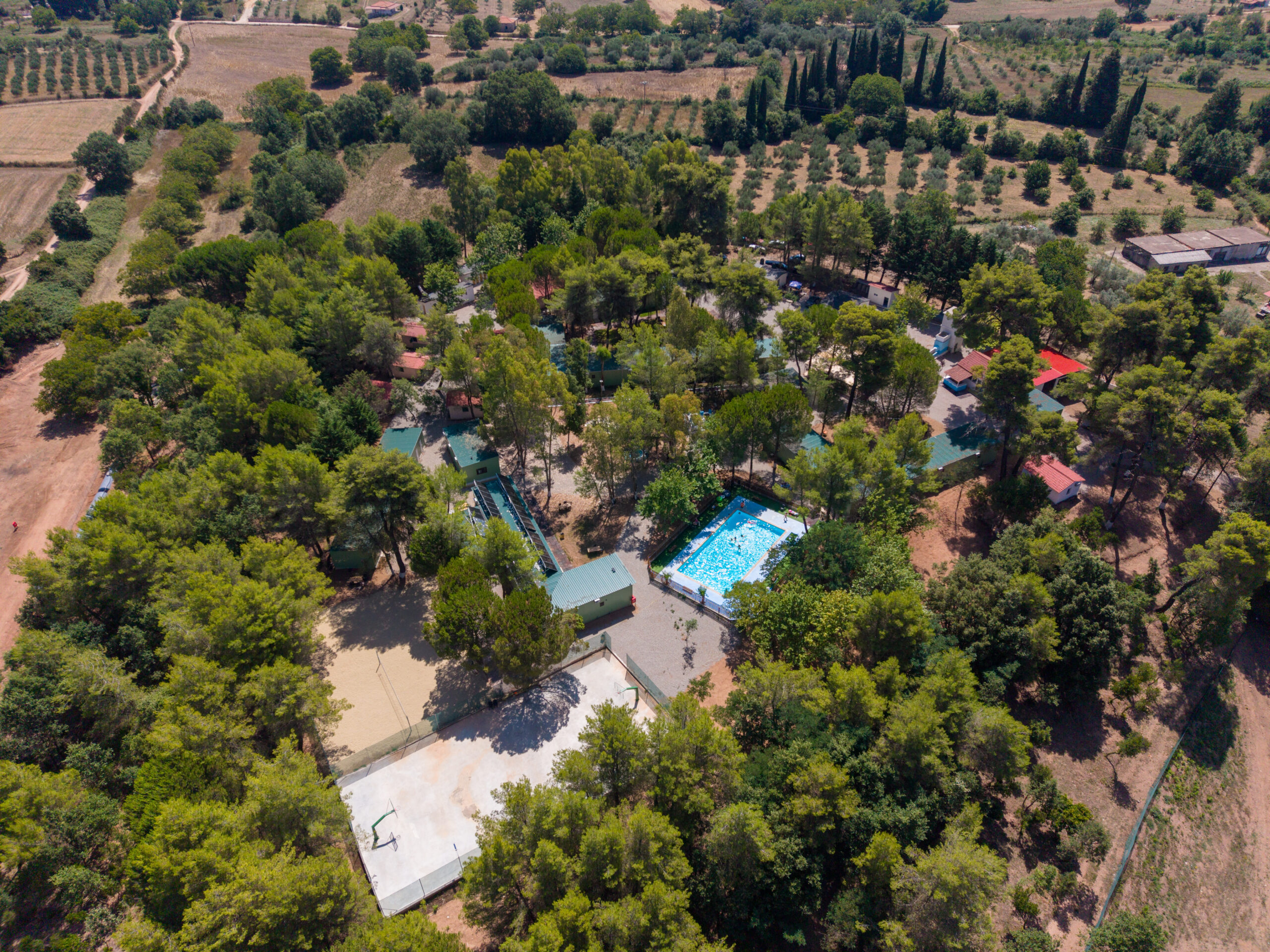 Olympic Forest Camp: Εκεί όπου το δάσος ξαναγέμισε παιδικές φωνές