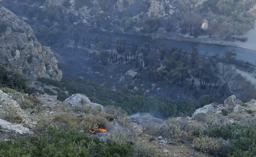 Στάχτη το φοινικόδασος στην Πρέβελη: 296 πυροσβέστες στο Ρέθυμνο – Μάχη με την φωτιά και στην Πάρο