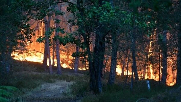 Φωτιά νότια του Παρισιού: «Εξαιρετικά μεγάλης κλίμακας» η πυρκαγιά στο Φονταινεμπλώ