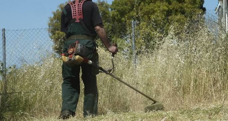 Παρέμβαση του Επιμελητηρίου Ηλείας για τον καθαρισμό οικοπέδων