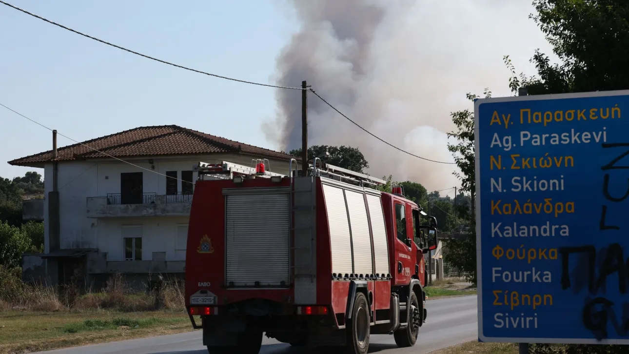 Πυρκαγιές: Που αποδίδει η Διεύθυνση Αντιμετώπισης Εγκλημάτων Εμπρησμού το 78% της καμένης γης