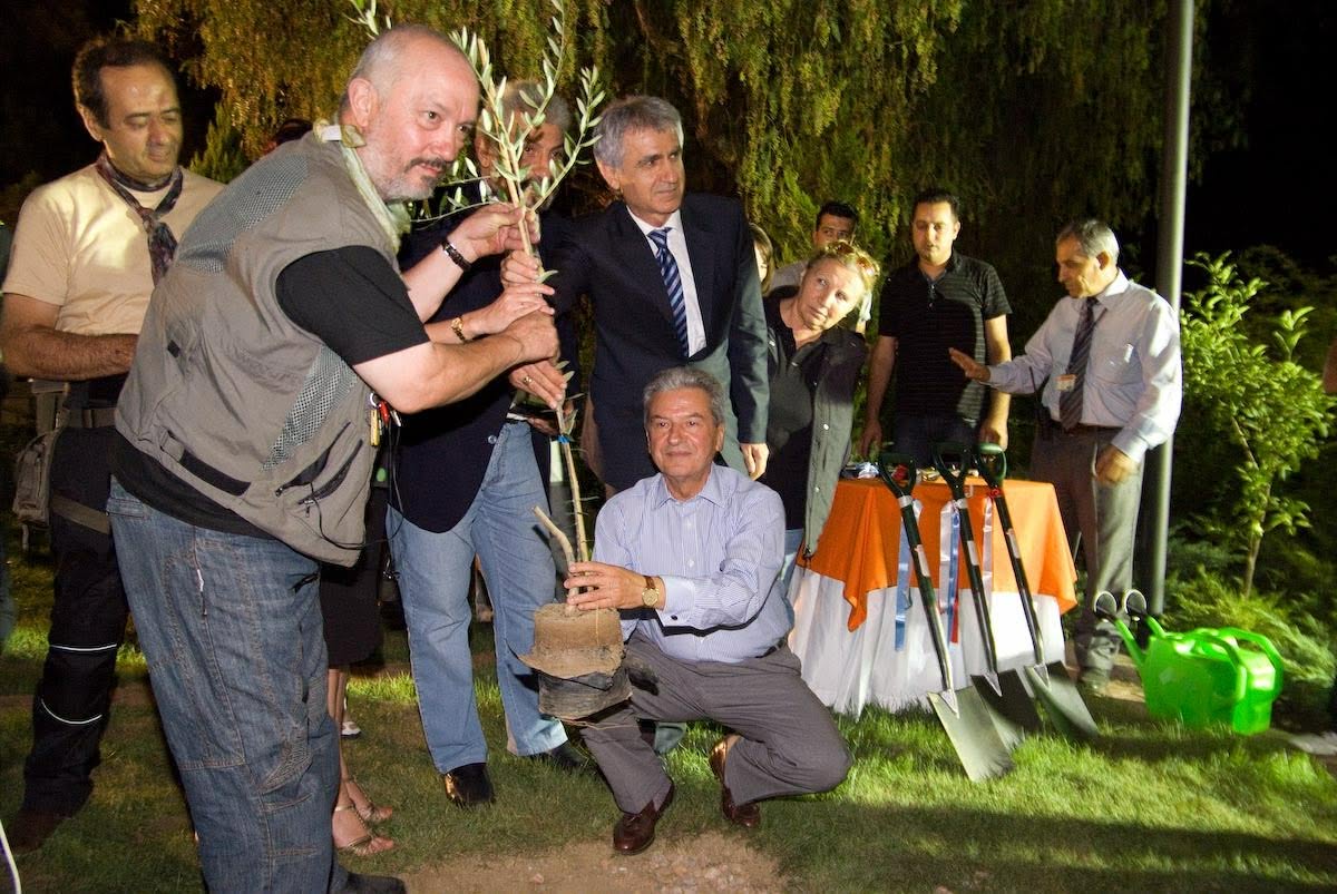 Η «Ήπια Διπλωματία» της Ελιάς: Πώς Μεσσηνία και Σμύρνη Έχτισαν ένα Μανιφέστο Ειρήνης στο Αιγαίο