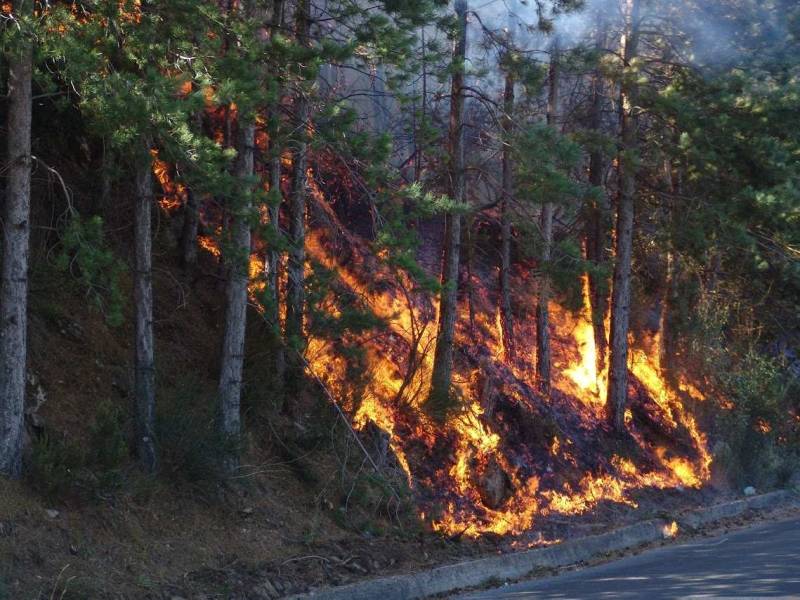 Οι ελεγχόμενες φωτιές του χειμώνα προλαμβάνουν τις μεγαπυρκαγιές  το καλοκαίρι