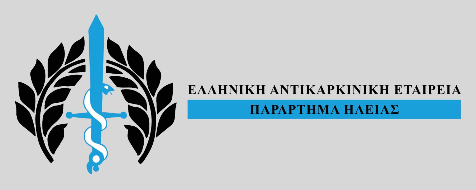 Έμπρακτη συνέχεια της συνεργασίας του Παραρτήματος Ηλείας της Ελληνικής Αντικαρκινικής Εταιρείας με «Το Χαμόγελο του Παιδιού»