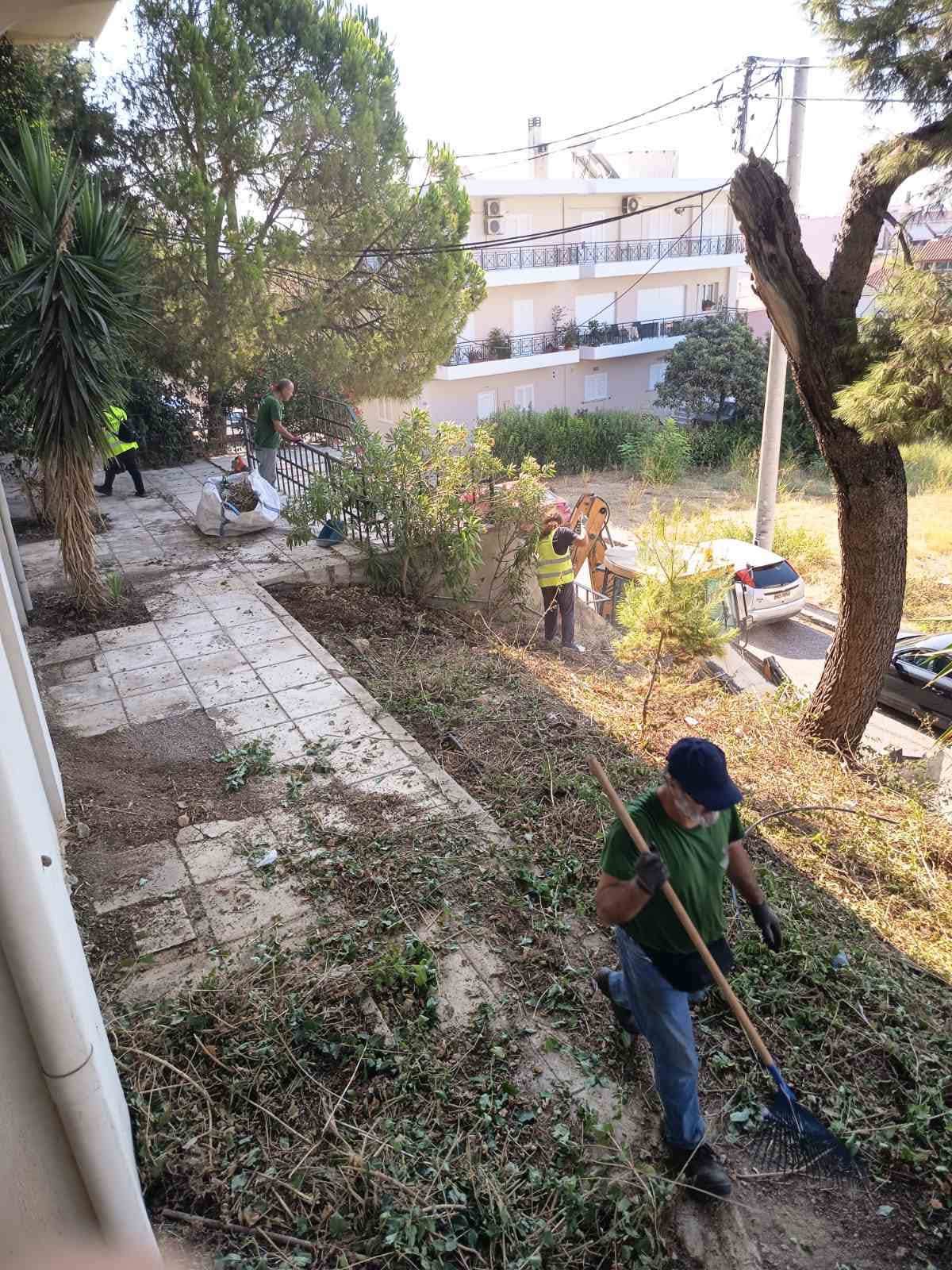 Πύργος: Επιχείρηση καθαριότητας στον λόφο του Επαρχείου