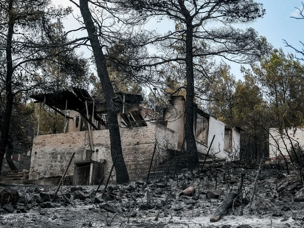 Εξαφανίστηκε το 42% των δασών της Αττικής