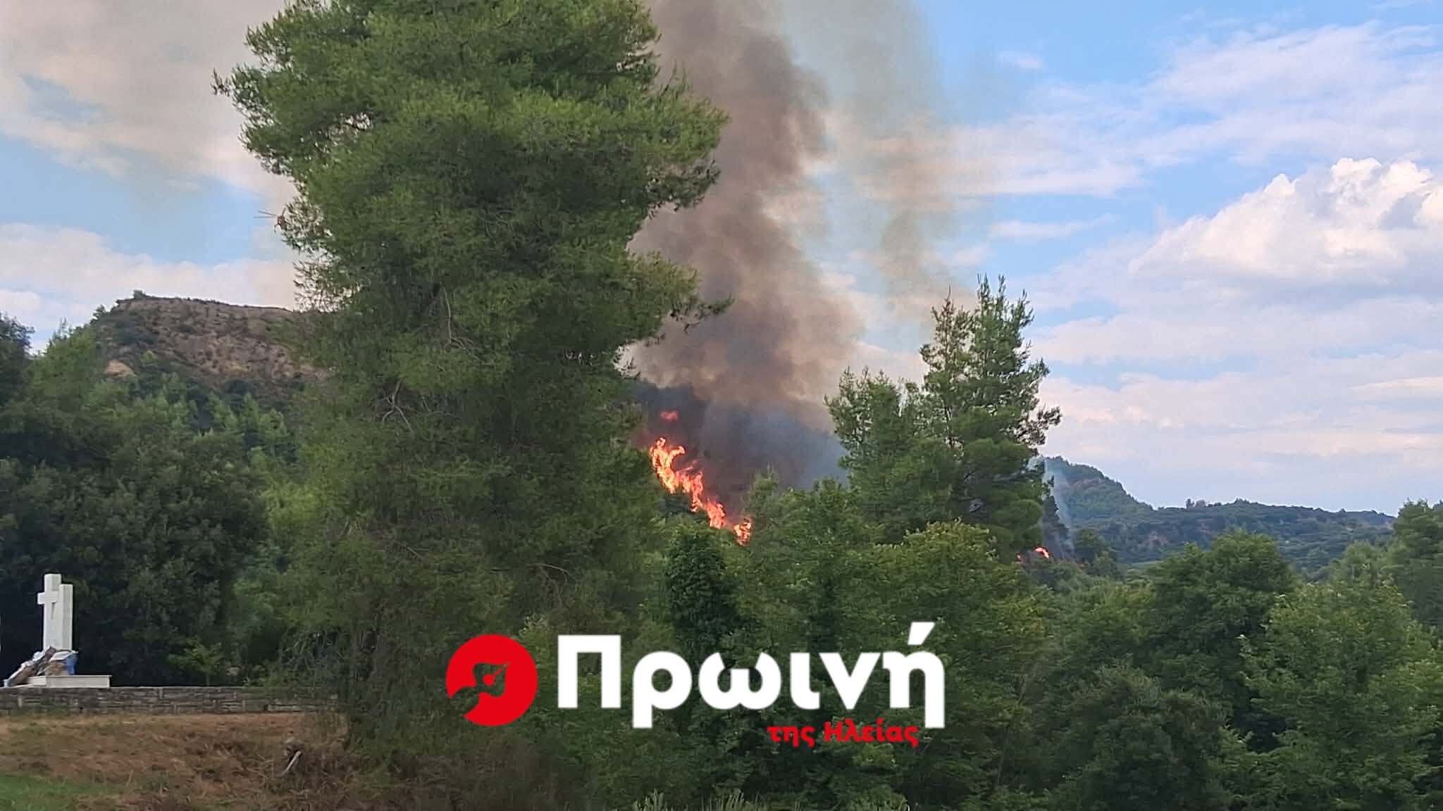 Φωτιά σε δασική έκταση στο Μουζάκι
