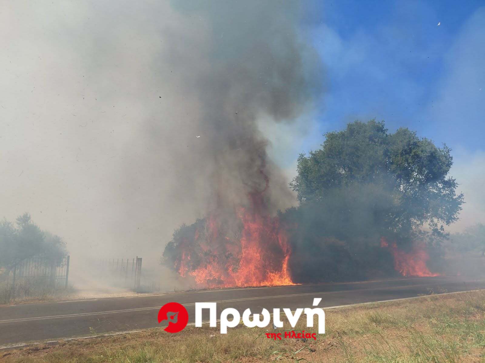 Φωτιά στα Κοττέικα – Επιχειρούν επτά εναέρια μέσα 