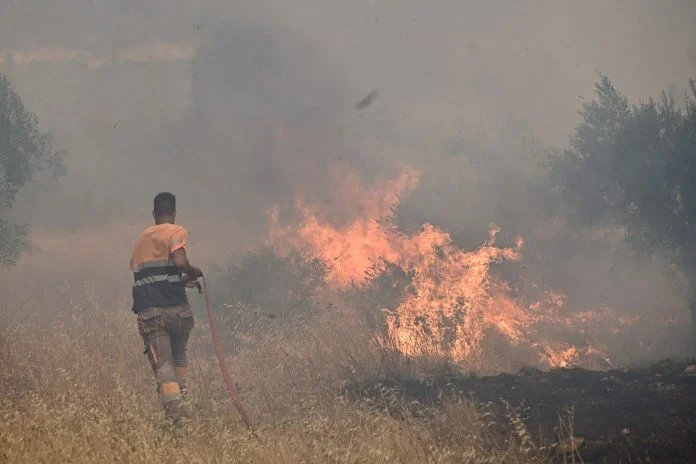 Στον εισαγγελέα οδηγούνται οι δύο συλληφθέντες για την πυρκαγιά στη Βοιωτία