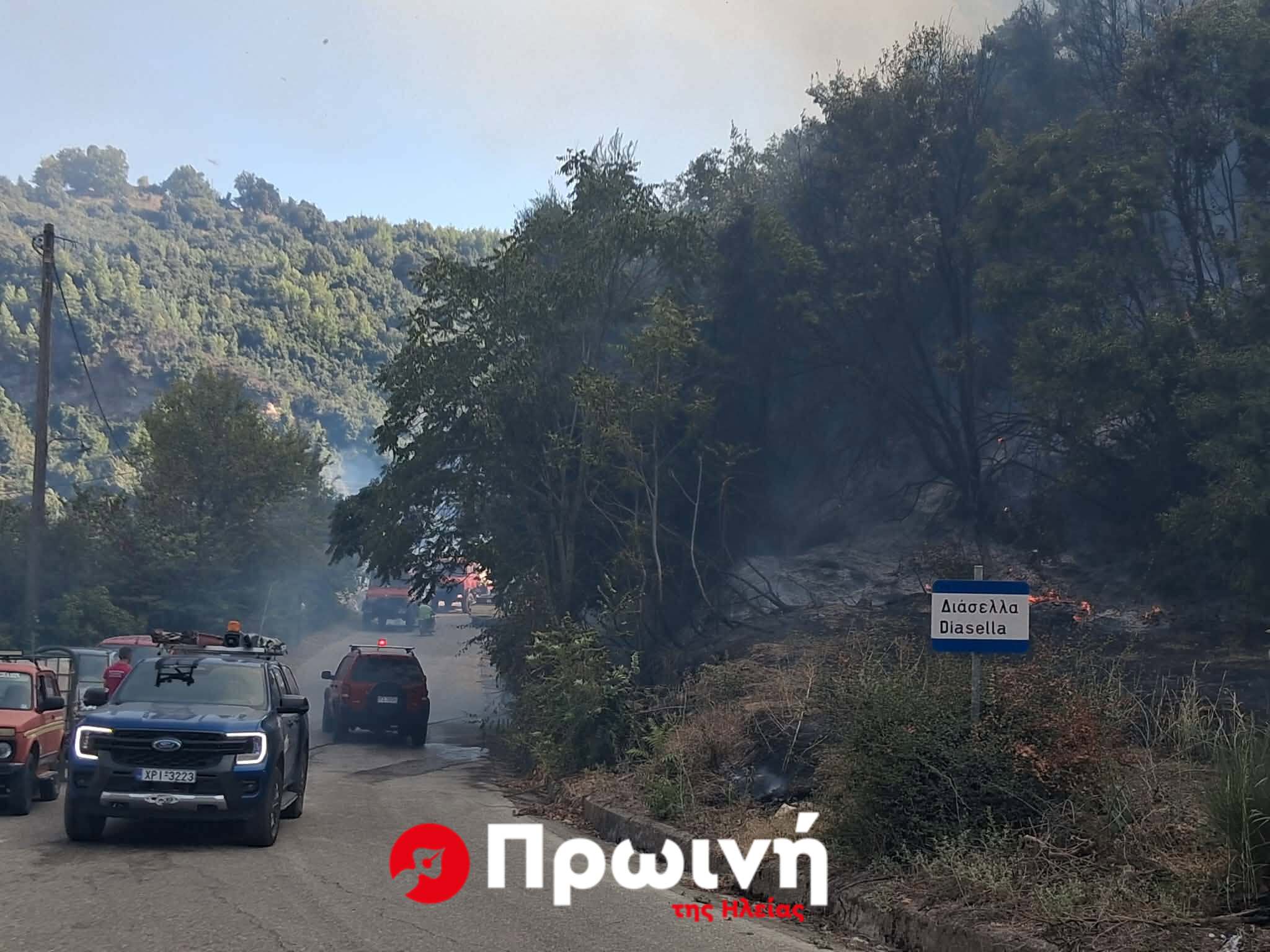 Πυρκαγιά σε αγροτοδασική έκταση στην περιοχή Διάσελλα Ηλείας (video)