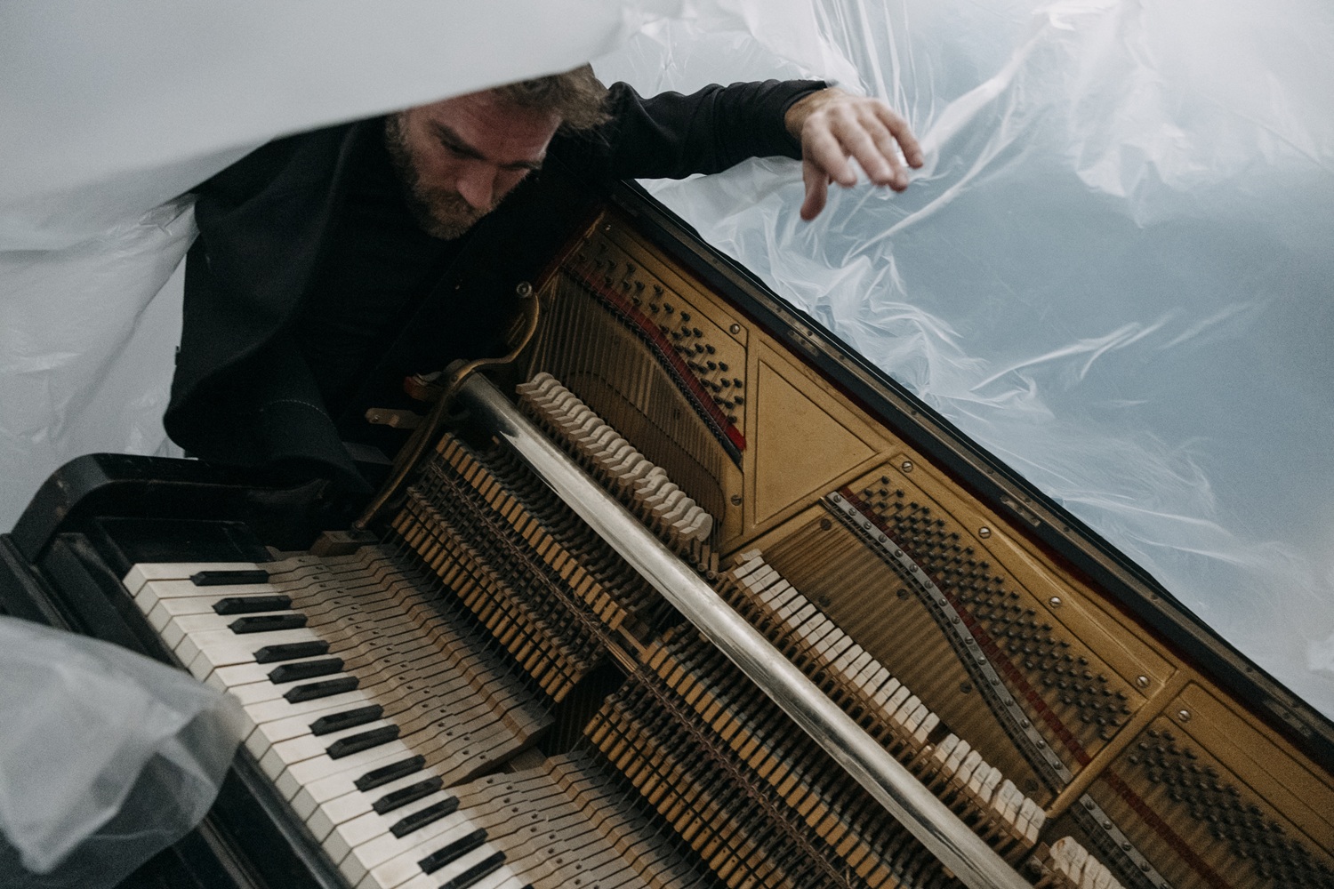 Αναβάλλεται το Rebirth στο Δάσος Φολόης