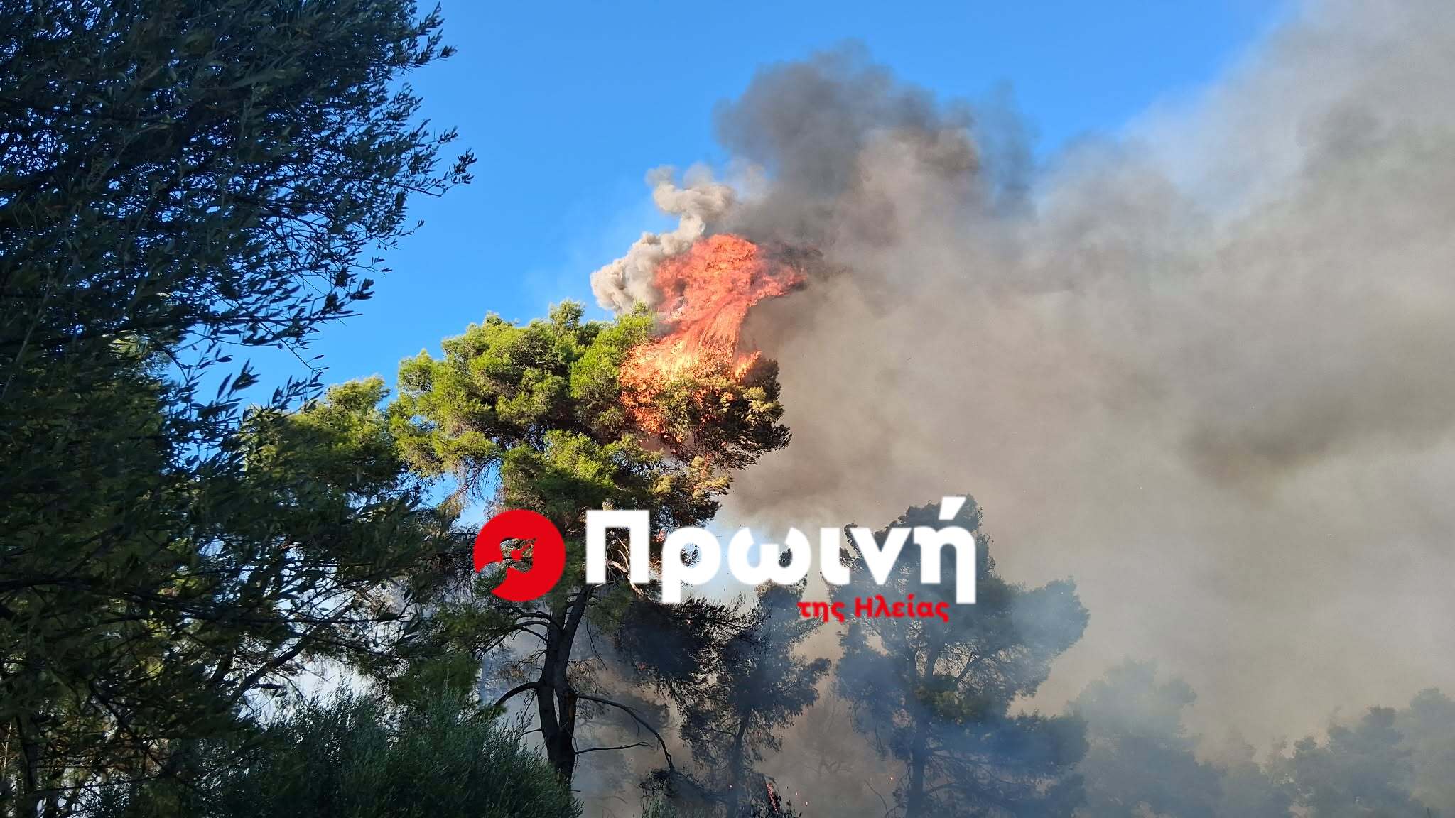 Μεγάλη φωτιά στη Σκιλλουντία: Στα 200 μέτρα από τα σπίτια οι εστίες-Ήχησε το 112 – Στην μάχη 10 αεροσκάφη