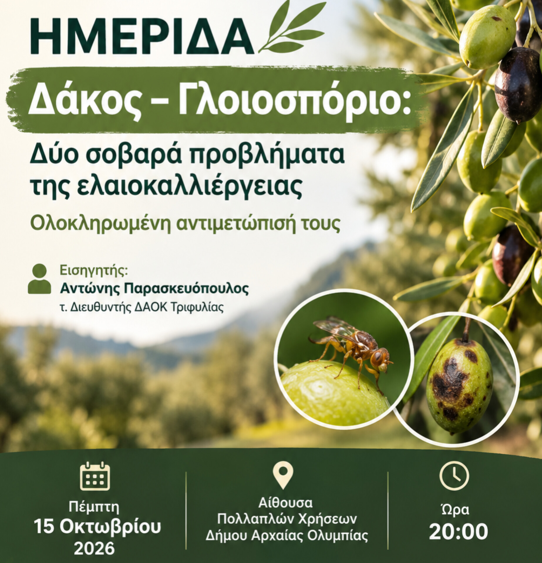 «Δάκος – Γλοιοσπόριο: Δύο σοβαρά προβλήματα της ελαιοκαλλιέργειας – Ολοκληρωμένη αντιμετώπισή τους»